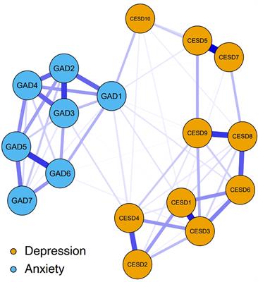 Network analysis of depressive and anxiety symptoms in older Chinese adults with diabetes mellitus